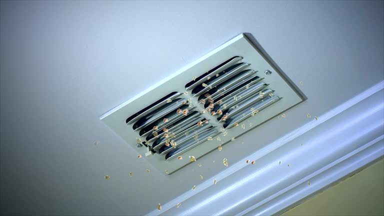 Best Air Duct Inspection  in North Pearsall, TX