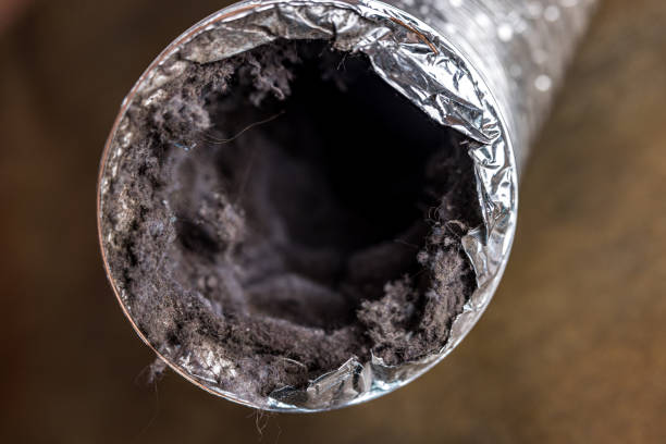 Best Local Air Duct Cleaning Services  in North Pearsall, TX