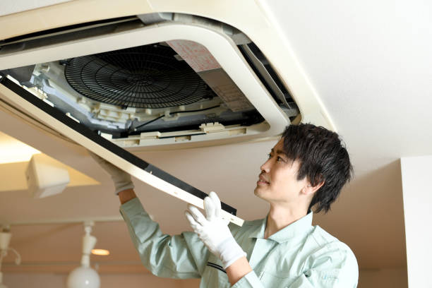Best Ductwork Cleaning Services  in North Pearsall, TX